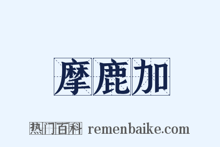 摩鹿加是什么意思的图片